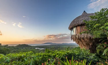 83547a13-f7d4-499d-bdc6-a77cb26329f9