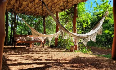 ba9b8c67-4067-4e7b-a480-01a733b090ef